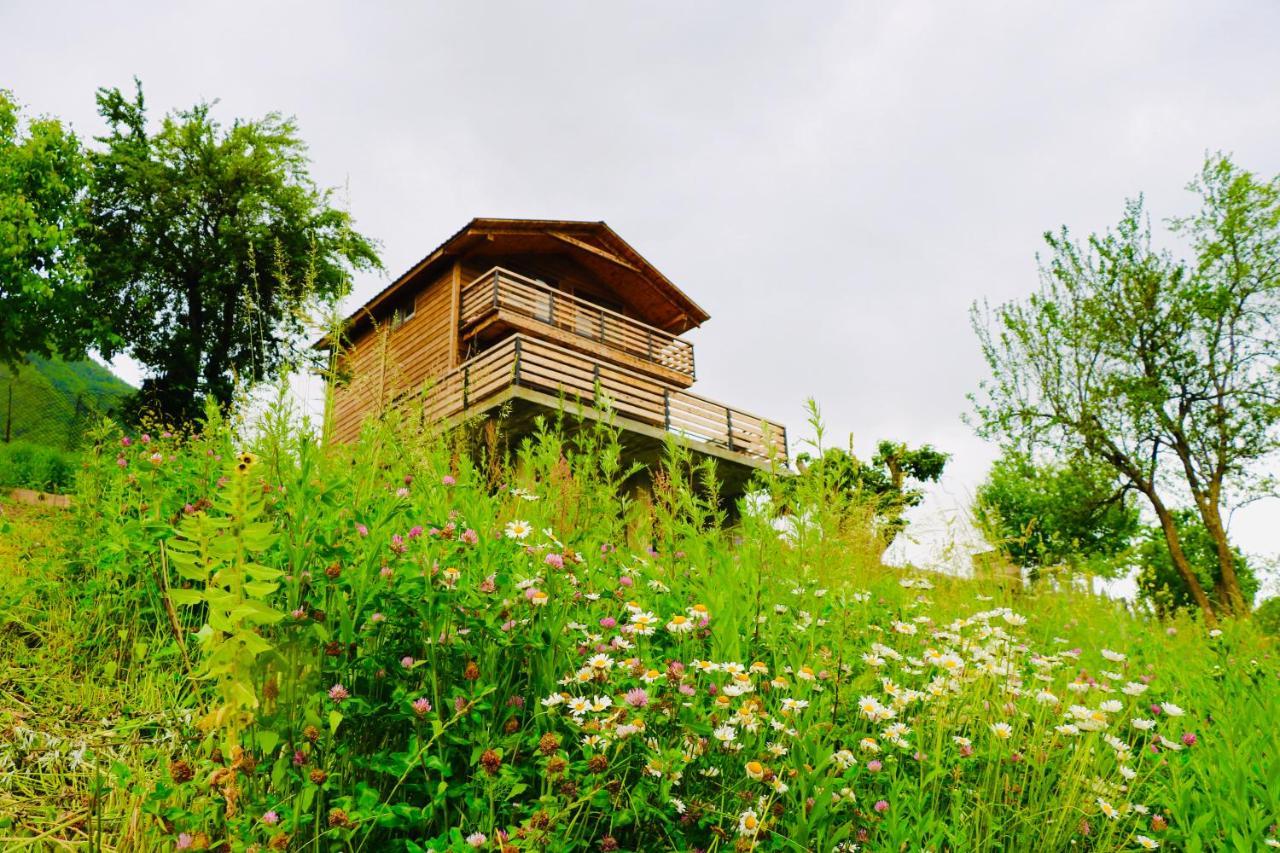 Villa Dabderr Mestia Exterior photo